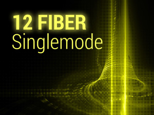 thumbnail-final-singleimode-12-fiber